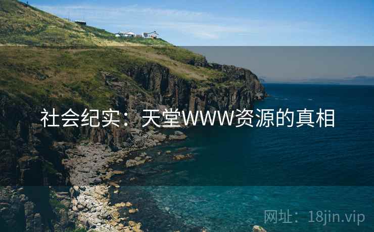 社会纪实：天堂WWW资源的真相