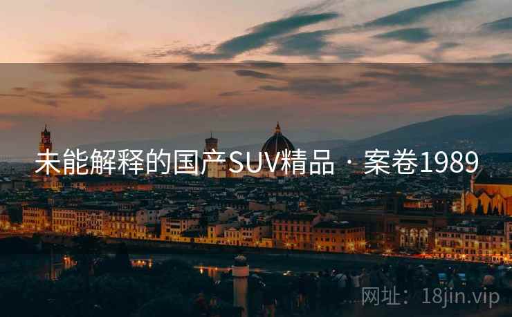 未能解释的国产SUV精品 · 案卷1989