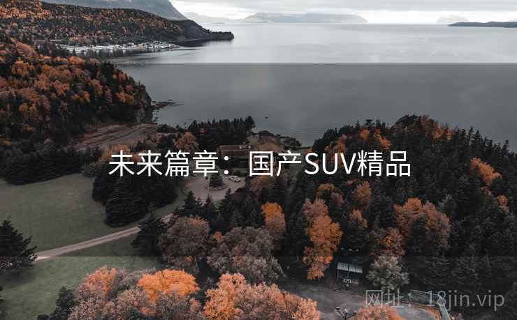 未来篇章:国产SUV精品