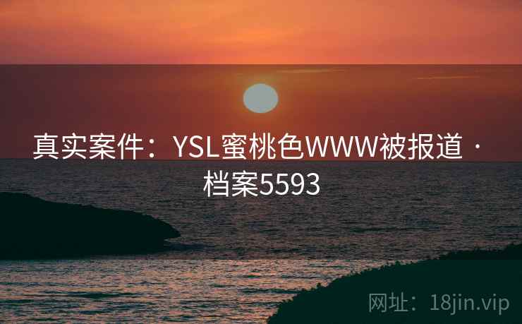 真实案件：YSL蜜桃色WWW被报道 · 档案5593